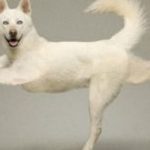 k2_items_src_6cc200c91775de8f840af2bbd0977307