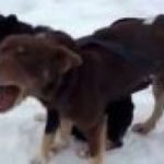 k2_items_src_3897d94c67d8948f0e946871aa513e5b