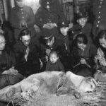 k2_items_src_62dbf15773d559e4ec1d1f1a353fb415