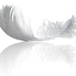 k2_items_src_8ee9b13ea7648763e517994d9dfe8c1c