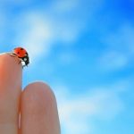 Foto: Shutterstock