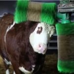 k2_items_src_17209f4fab839b3876dbe9f9a6c90d48