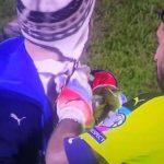 buffon-2_size10.jpg