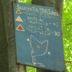 masswow_56b6090d70e5e[1]