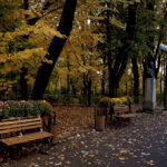 parcul-copou