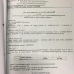 expertiza bacau