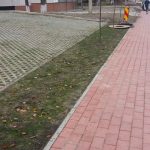 spatiu verde mercur mary