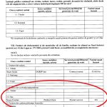 declratie de avere doina naum-3