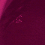 300x300px