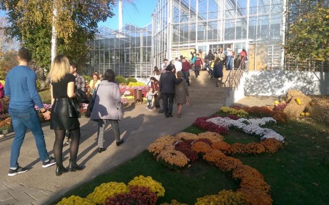 CoadÄ ImpresionantÄ La Poarta GrÄdinii Botanice Din Iasi Mii De Vizitatori Au Stat La Rand Pentru A Intra In SpaÅ£iul Din Copou 7est Ro Stiri Iasi Stiri Locale Nationale Si Internationale