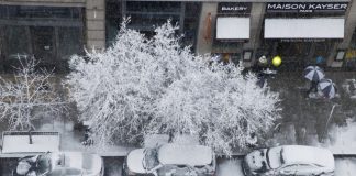 meteo
