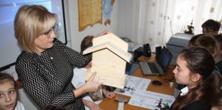 cum hrănim păsările iarna