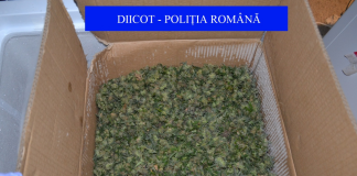 droguri