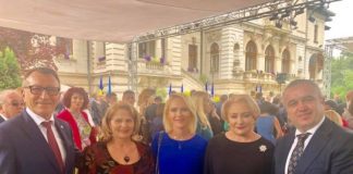 Firea si gasca PSD