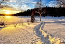 Meteorologii dau semne că vine primăvara: schimbare radicală a vremii / Prognoza pe patru săptămâni