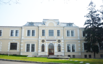 Au expirat zeci de vaccinuri, iar Spitalul Militar din Iași a cerut ca nota de plată să fie achitată de farmacistul-șef. Situația a ajuns în instanță