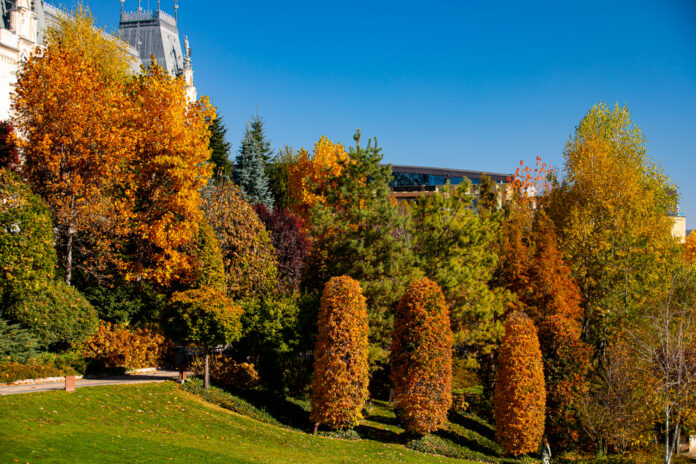 Toamna in parcul Palas 10