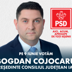 Bogdan Cojocaru PSD 7EST_300X250-04