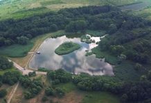 Drumul care traversează zona Grădinii Botanice „Anastasie Fătu” din Iași ar putea fi transformată într-o alee destinată exclusiv pietonilor