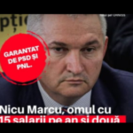 ”O insultă adusă cetățenilor corecți.” Scandal după schimbarea șefului ORNISS. Cine este Nicu Marcu Mobile
