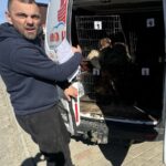 Daniel Lazăr, administratorul SC Vetmedan SRL