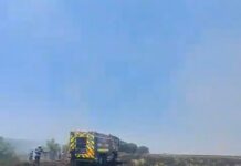 VIDEO Incendiu de proporții la Lețcani – peste 50 de hectare de vegetație uscată în flăcări