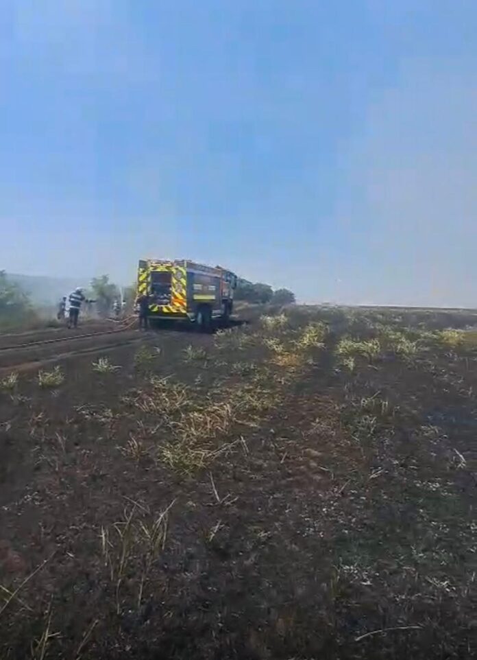 VIDEO Incendiu de proporții la Lețcani – peste 50 de hectare de vegetație uscată în flăcări