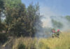 incendiu gradina botanica