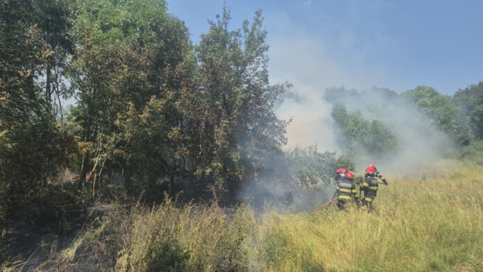 incendiu gradina botanica