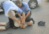 politie pascani