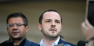 alexe si alexandru rogobete