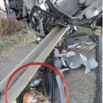 păpusa fetei în accident