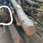 WhatsApp Image 2025-10-15 at 20.03.21 (8)