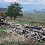 lemn gradinita in curtea primarului