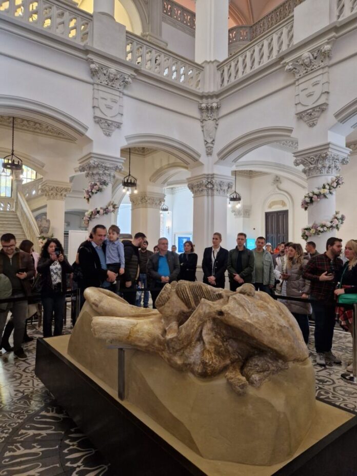 mamut-768x1024