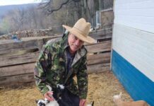 Din grajdurile transportului public, spre vârful urbanismului