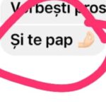 WhatsApp Image 2025-11-05 at 17.53.52