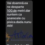 WhatsApp Image 2025-11-05 at 17.53.53 (4)