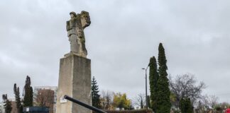 VIDEO 11 noiembrie, zi de onor pentru veteranii români din teatrele de operații