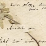 Statul român va cumpăra scrisorile dintre Eminescu și Veronica Micle cu aproximativ 1.2 milioane de euro