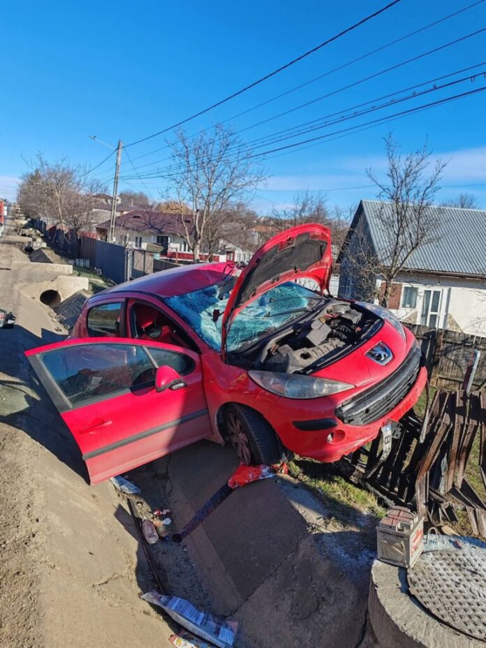 FB_IMG_1767262800204-768x1024