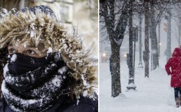 Un ger năpraznic vine peste România: șefa ANM anunță temperaturi de până la minus 15 grade Celsius