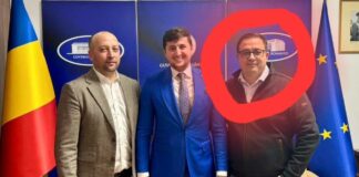 JALEA BANILOR PUBLICI – Primarii din Iași finanțează industria morții câinilor fără stăpân