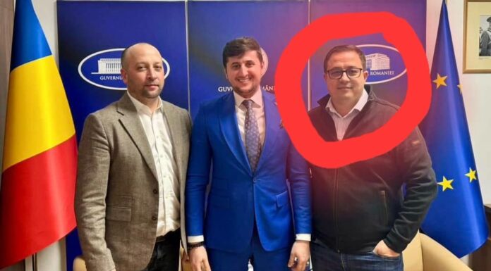 JALEA BANILOR PUBLICI – Primarii din Iași finanțează industria morții câinilor fără stăpân