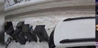 Un bătrân de 88 de ani a fost surprins că a abandonat un câine în comuna Răducăneni. L-a legat cu sârmă lângă un tomberon