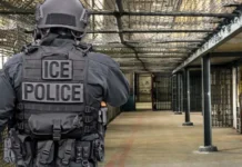 143 de români au ajuns pe mâinile celor mai de temut agenți. ICE ne consideră ‘cei mai periculoși infractori străini’