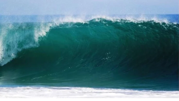 media-152624422673458200