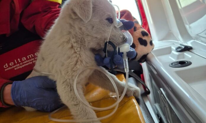 WhatsApp-Image-2026-03-21-at-14.22.49-1000x600