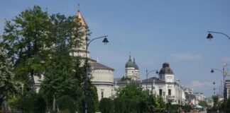 Terasele de pe Ștefan cel Mare, demolate pentru curățenie și reorganizare