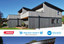 EXCLUSIV. Firma milionarului Patriche din Podu Iloaiei, țepuită din interior. Schema de aproape jumătate de milion de lei a unui agent de vânzări